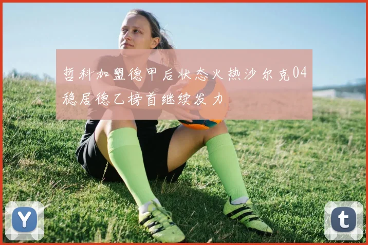哲科加盟德甲后状态火热沙尔克04稳居德乙榜首继续发力