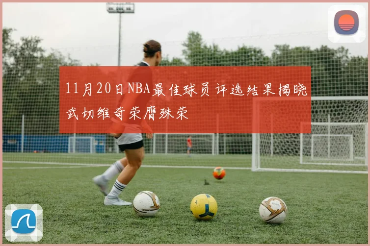 11月20日NBA最佳球员评选结果揭晓武切维奇荣膺殊荣