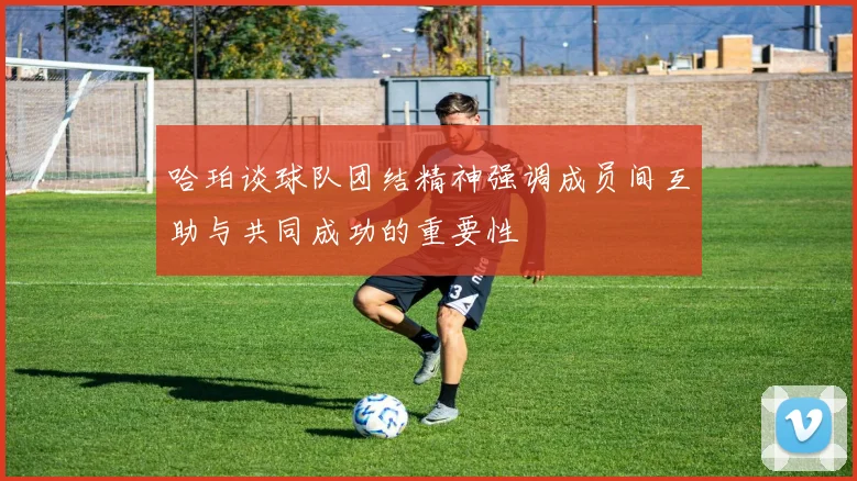 哈珀谈球队团结精神强调成员间互助与共同成功的重要性